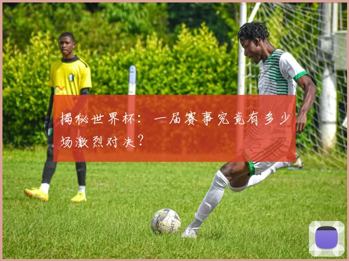 揭秘世界杯：一届赛事究竟有多少场激烈对决？