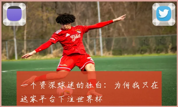 一个资深球迷的独白：为何我只在这家平台下注世界杯