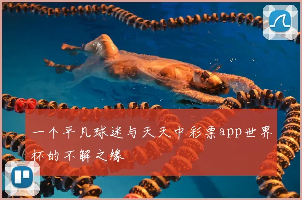 一个平凡球迷与天天中彩票app世界杯的不解之缘