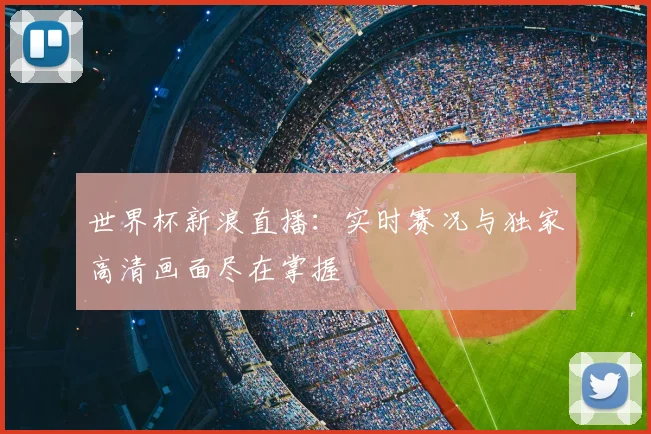 世界杯新浪直播：实时赛况与独家高清画面尽在掌握