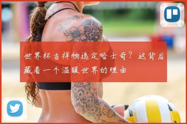 世界杯吉祥物选定哈士奇？这背后藏着一个温暖世界的理由