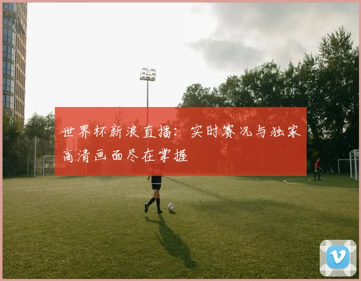 世界杯新浪直播：实时赛况与独家高清画面尽在掌握
